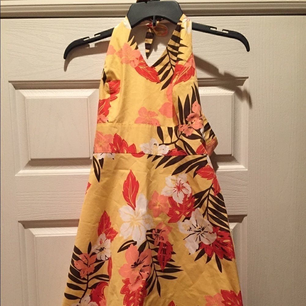 Ann Taylor Dress